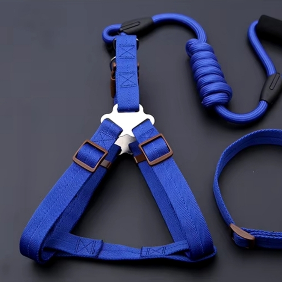 3 Piece, Messsge Me For Colors, Dog harness, collars, and leash set - Picture 3 of 9